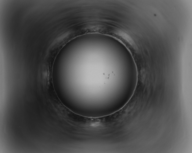 X0000092221111200709211003