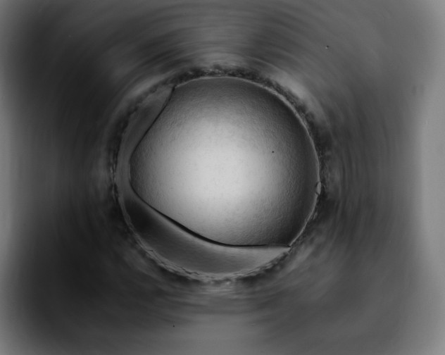 X0000092221112200709211003