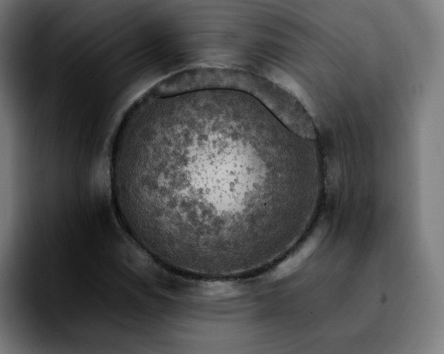 X0000092221114200709211003