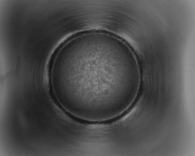 X0000092221118200709211003