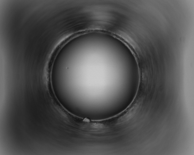 X0000092221119200709211003