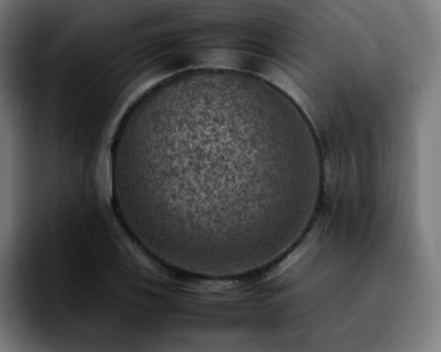 X0000092221123200709211003