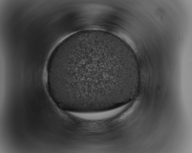 X0000092221125200709211003