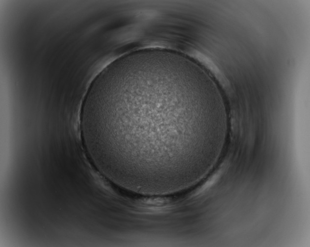 X0000092221129200709211003