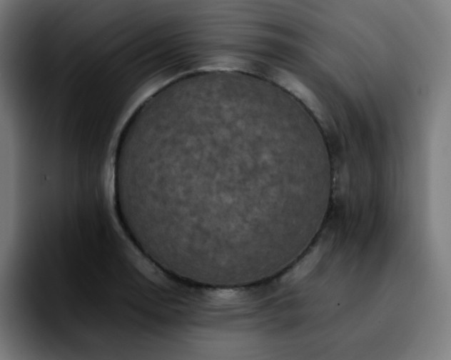 X0000092221130200709211003