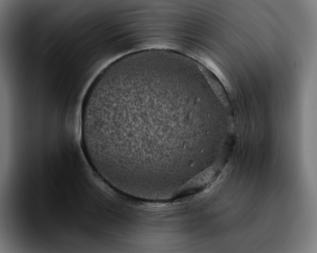 X0000092221132200709211003