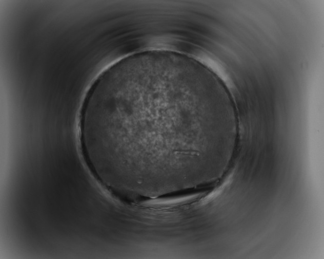 X0000092221133200709211003