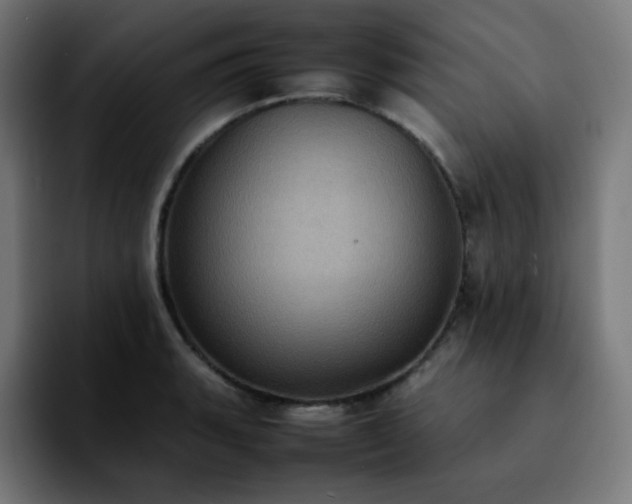 X0000092221135200709211003