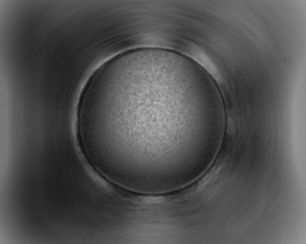 X0000092221136200709211003