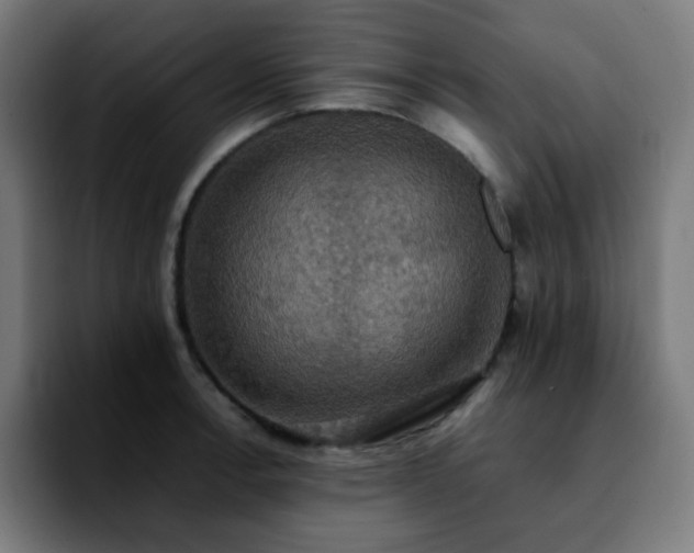 X0000092221138200709211003