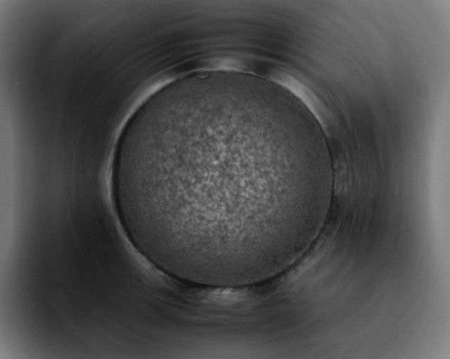 X0000092221139200709211003