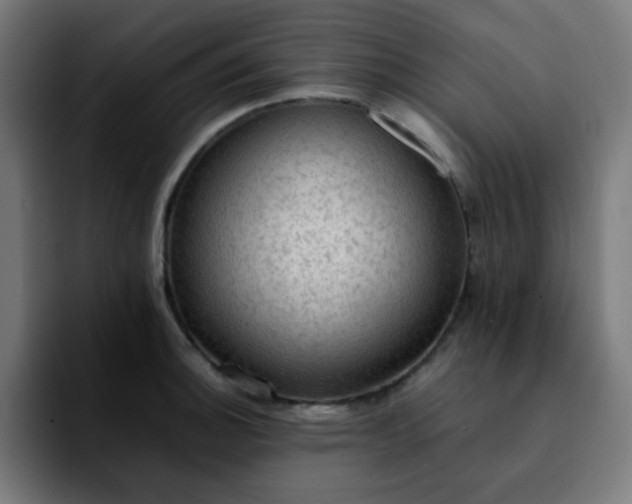 X0000092221140200709211003