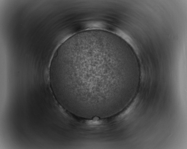 X0000092221145200709211003