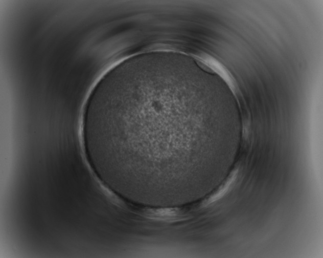 X0000092221149200709211003