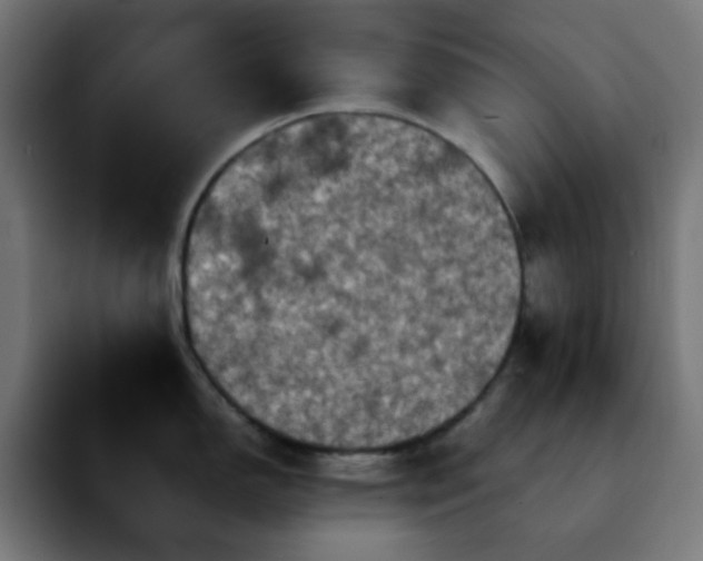 X0000092221150200709211003