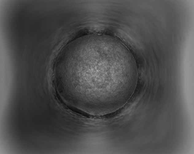 X0000092221153200709211002