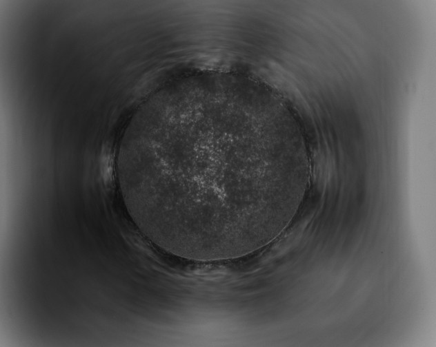 X0000092221154200709211002