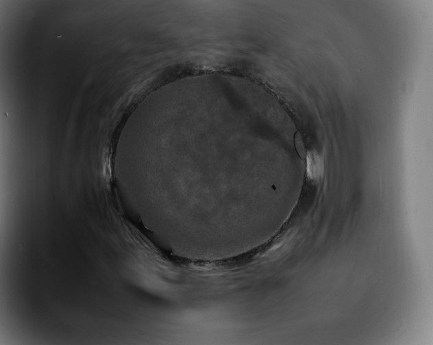 X0000092221155200709211002