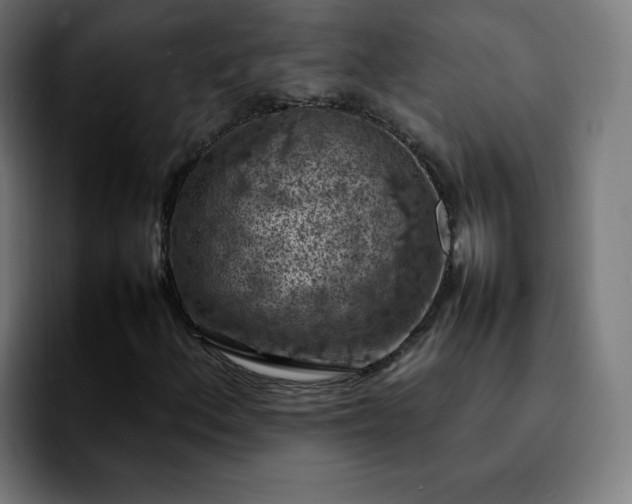 X0000092221156200709211002
