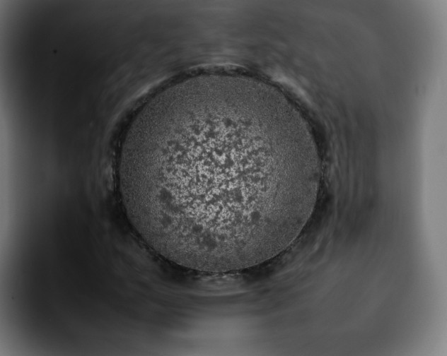 X0000092221159200709211002