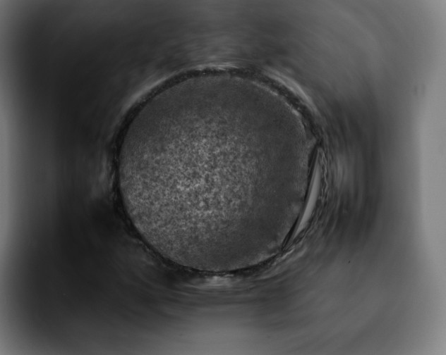 X0000092221160200709211002