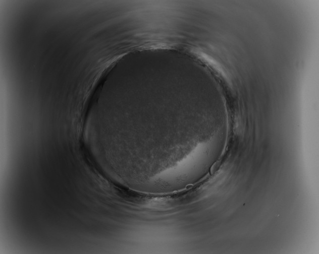 X0000092221161200709211002