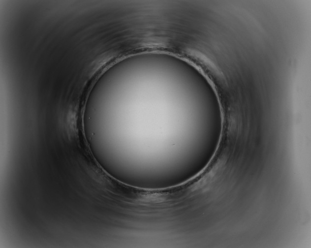 X0000092221162200709211002