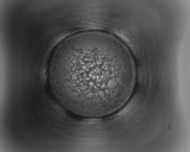 X0000092221163200709211002