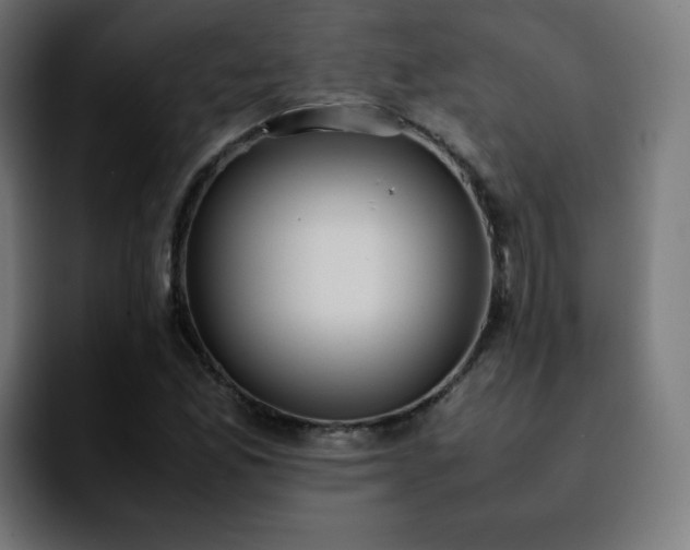 X0000092221165200709211002