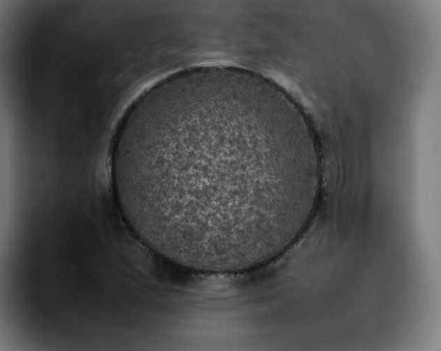 X0000092221167200709211002