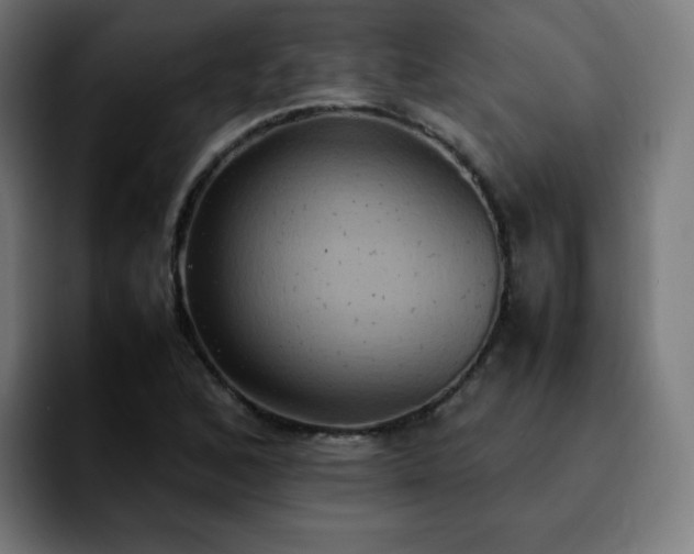 X0000092221168200709211002