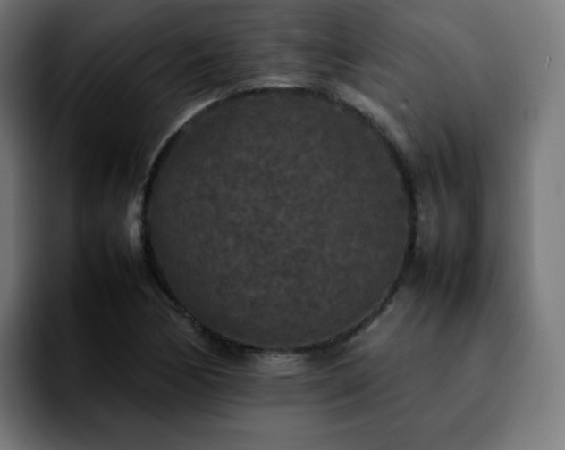 X0000092221170200709211002
