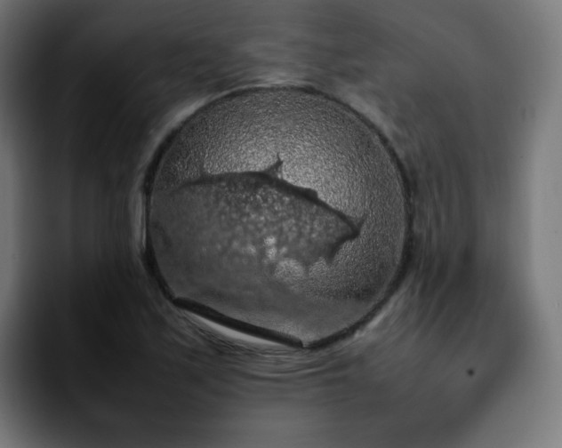 X0000092221171200709211002