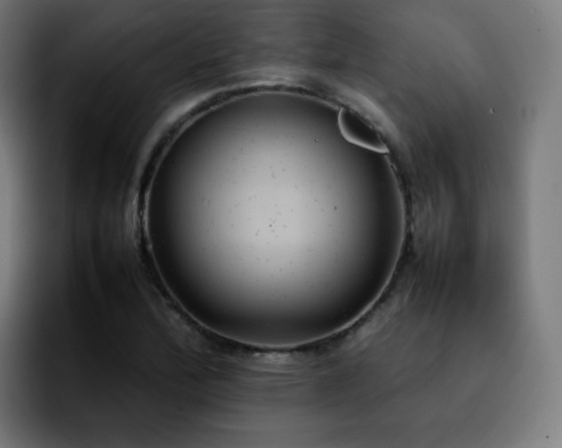 X0000092221172200709211002