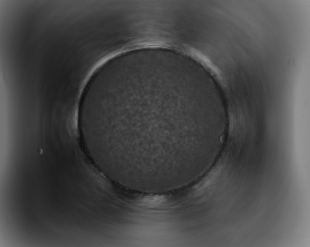 X0000092221174200709211002