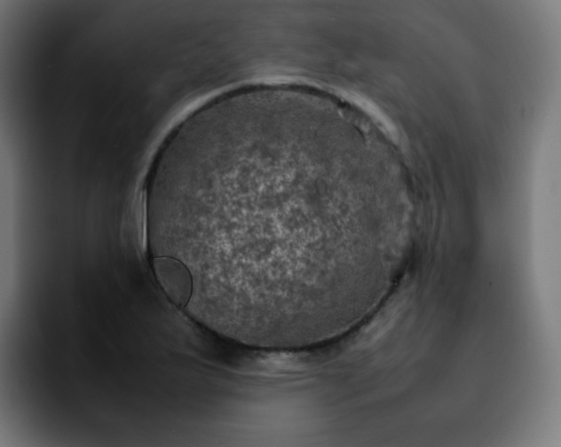 X0000092221175200709211002