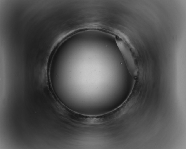 X0000092221176200709211002