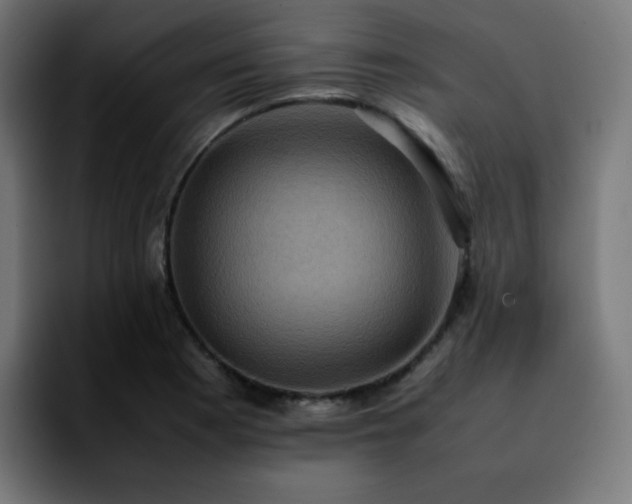X0000092221177200709211002