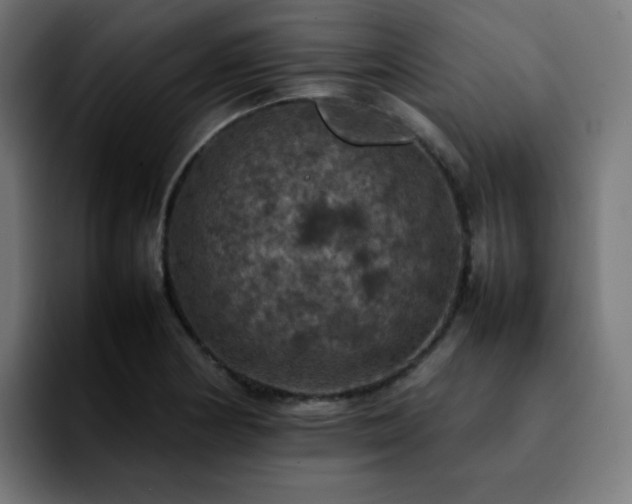 X0000092221178200709211002
