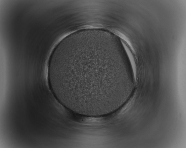 X0000092221179200709211002