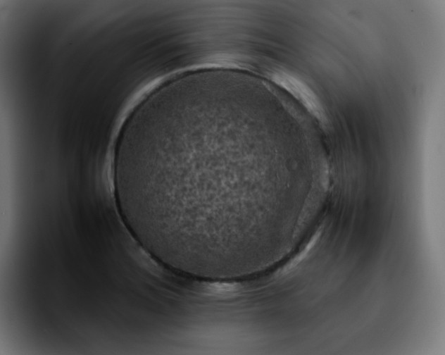 X0000092221180200709211002