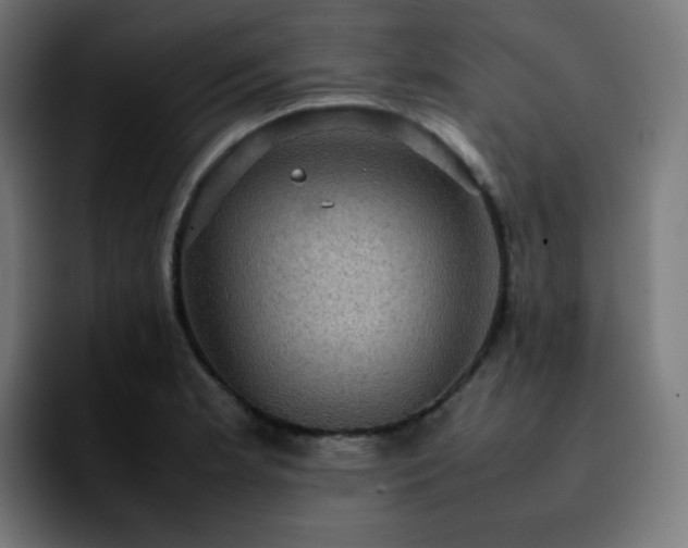 X0000092221181200709211002