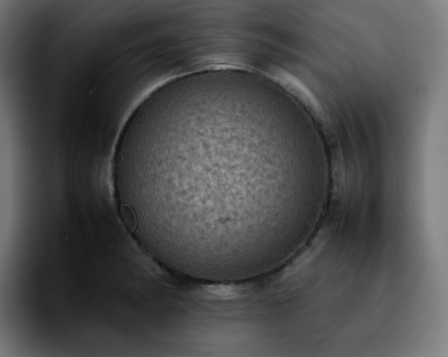 X0000092221182200709211002
