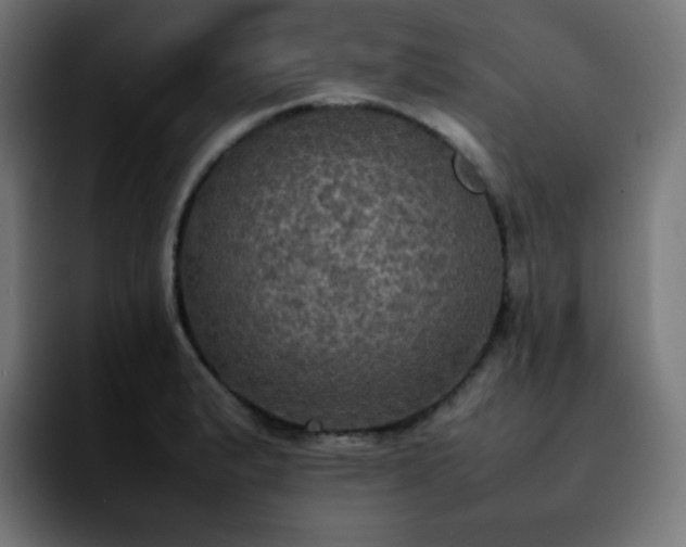 X0000092221183200709211002