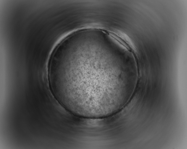X0000092221184200709211002