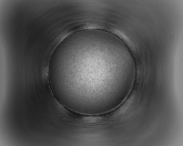 X0000092221185200709211002