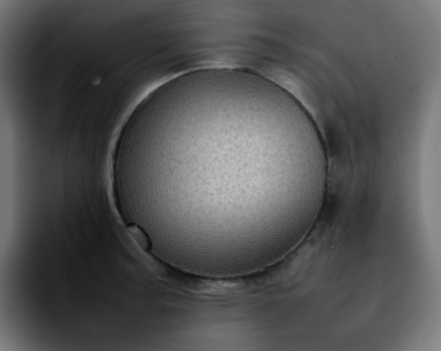 X0000092221187200709211002