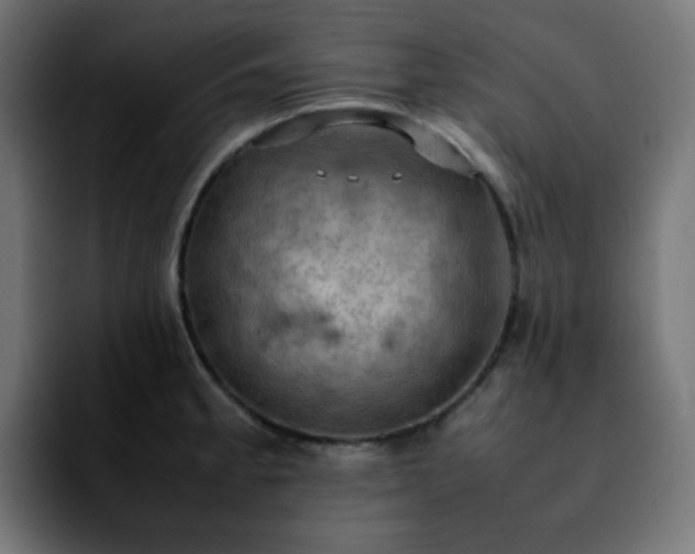 X0000092221189200709211002