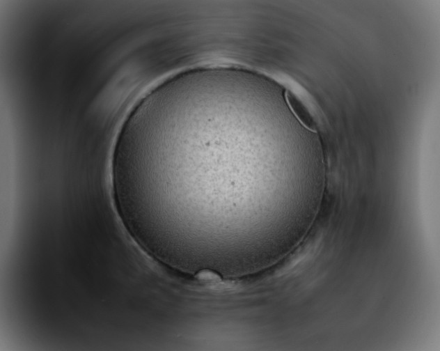 X0000092221191200709211002
