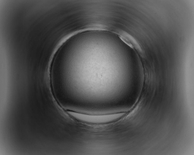 X0000092221192200709211002